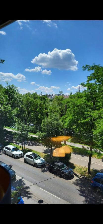 Schoene Altbauwohnung Wien Zentrum Brigittenauer Laende 32 Екстериор снимка