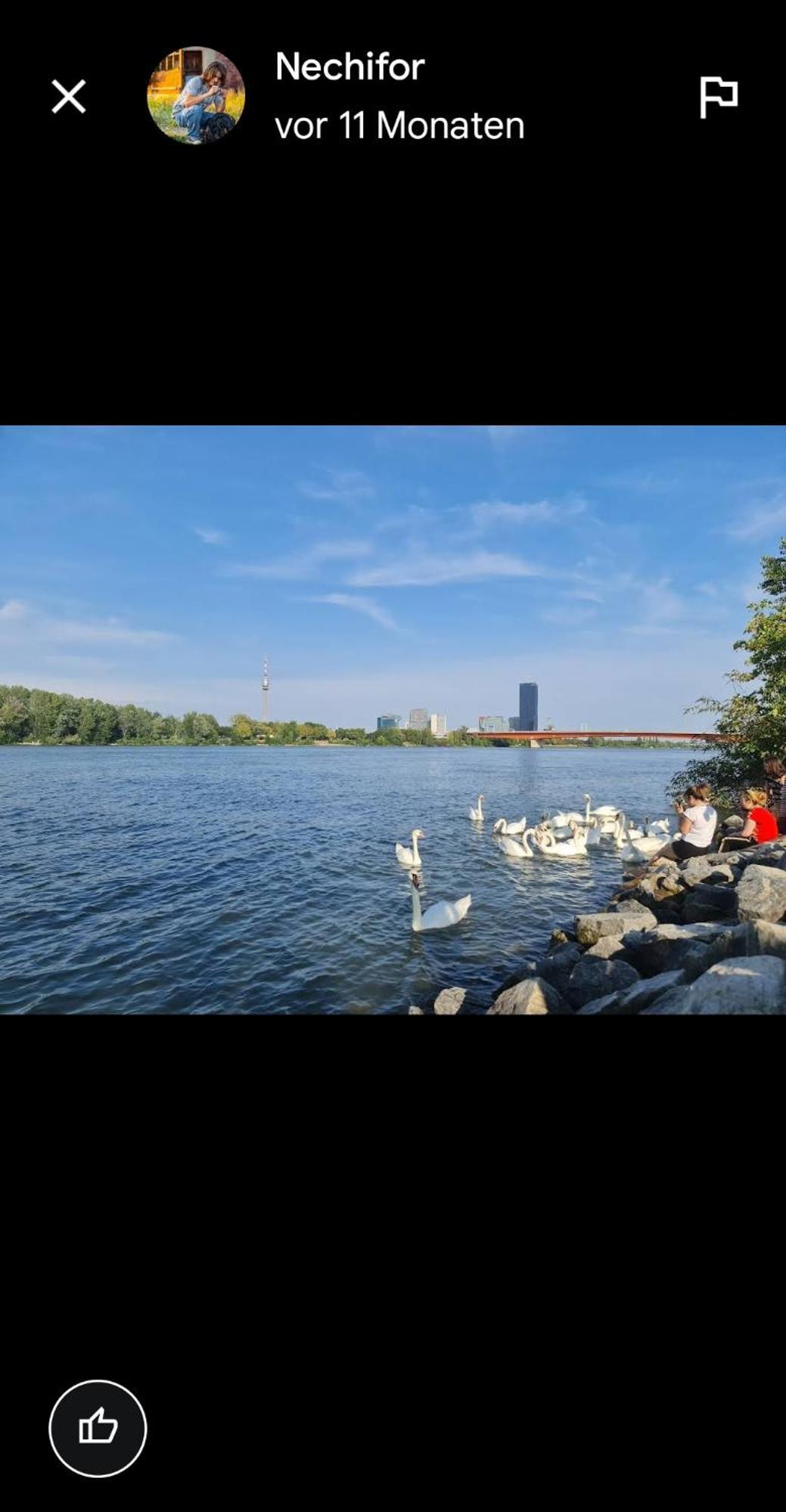 Schoene Altbauwohnung Wien Zentrum Brigittenauer Laende 32 Екстериор снимка